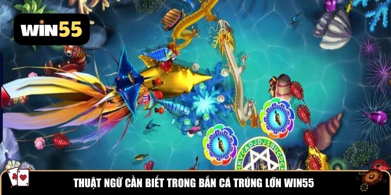 Thuật ngữ cần biết trong bắn cá trúng lớn WIN55