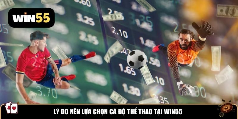 Lý do nên lựa chọn cá độ thể thao tại WIN55