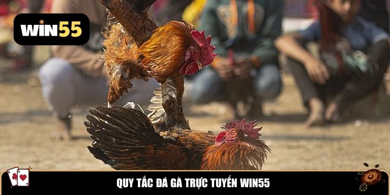 Quy tắc đá gà trực tuyến Win55