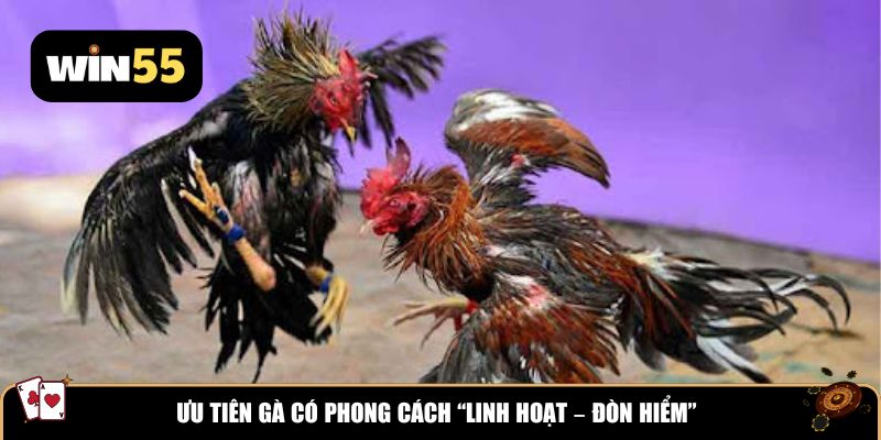 Ưu tiên gà có phong cách “linh hoạt – đòn hiểm”