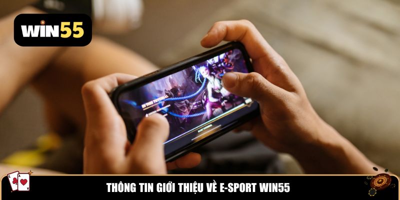 Thông tin giới thiệu về E-Sport Win55