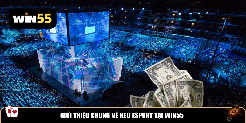 Giới thiệu chung về kèo eSport tại Win55