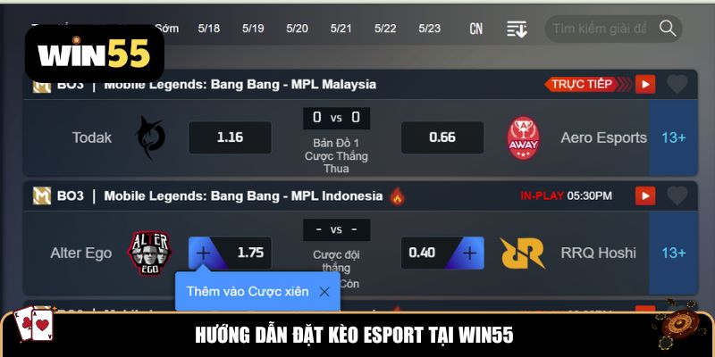 Hướng dẫn đặt kèo eSport tại Win55