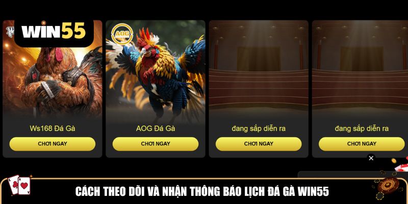Cách theo dõi và nhận thông báo lịch đá gà Win55